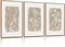 Summer Vintage Floral Framed Canvas Wall Decor Set of 3, Minimalist Nature-Inspired Wildflower Wall Paintings, Neutral Botanical Flower Art Prints for Dining Room, Bedroom Decor (12x16 Inch)